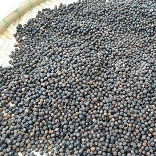 Tiêu đen giá bán sỉ tốt nhất