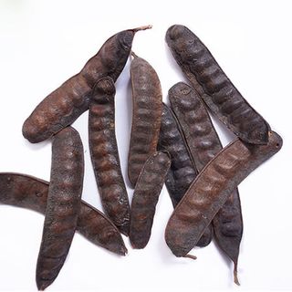 Quả bồ kết - bán buôn giá cực tốt