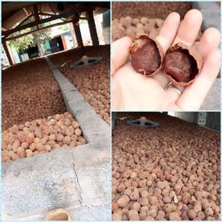VẢI THIỀU SẤY