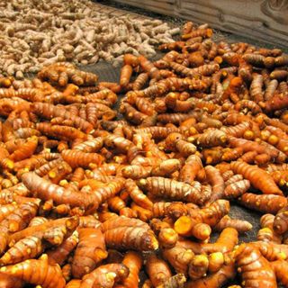 Củ nghệ khô luộc phơi khô giá bán buôn