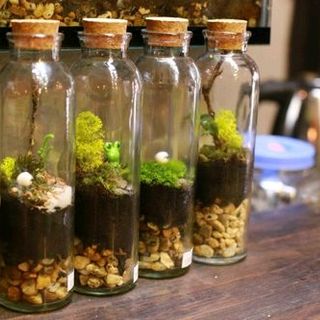 Chai thủy tinh tròn nút bần 350ml