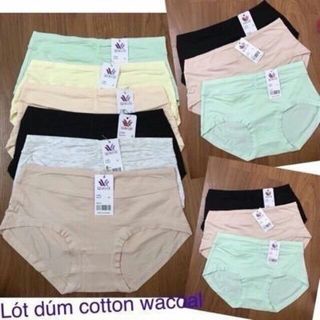 Quần cotton Nhúm- Mã 5509