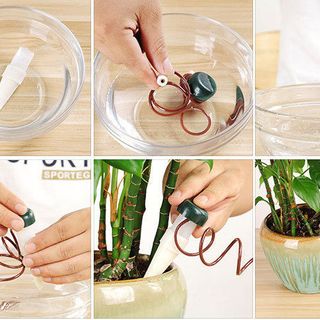Combo 2 Dụng cụ tưới cây tự động