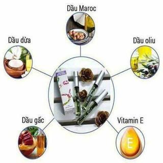 CHUỐT LÀM DÀI MI TỰ NHIÊN Maroc