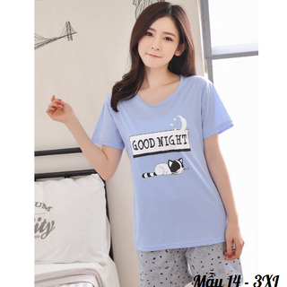 Đồ bộ thun ngắn big size