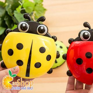 Bọ cánh cam đựng bàn chải