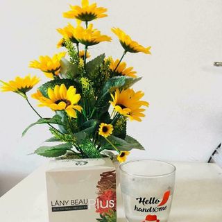 Viên Uống Giảm Cân Lány Beau Plus