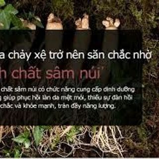Mặt Nạ Nhân Sâm Tự Nhiên Dành Cho Da Khô SNP Wild Ginseng Essence Mask - 25ml