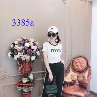 đồ bộ cát hàn