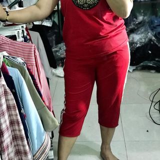 BỘ THUN COTTON MÈO SIÊU YÊU CHO NÀNG BÉO