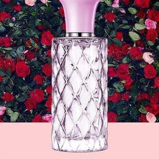 Nước hoa Maycreate Gather Beauty