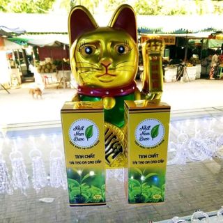 Thảo Dược tái tạo Da Nhất Nam Dược