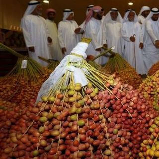 Phân phối sỉ chà là ngon nhất thế giới - Chà là Sudan
