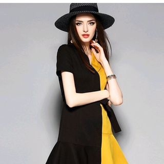 ĐẦM XOÈ PHỐI MÀU CỔ VEST
