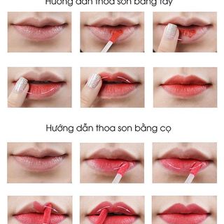 Combo 5 màu son lì kháng nước tự nhiên CECIA GRACEFUL