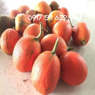 Tinh dầu gấc Thiên Ân