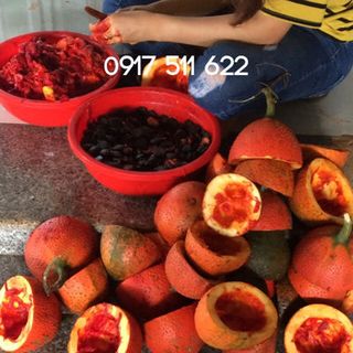Tinh dầu gấc Thiên Ân