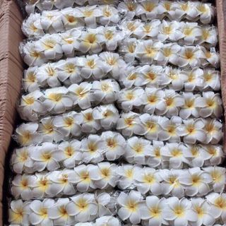 KẸP HOA SỨ
