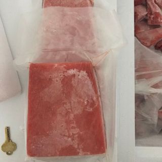 Cá ngừ đai dương Saku