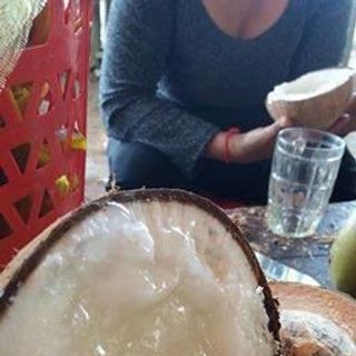 DỪA SÁP TRÀ VINH