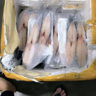 CÁ THU 1 NẮNG