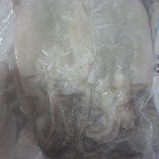MỰC CÔ TÔ 1 NẮNG