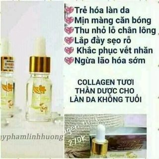 Collagen Tươi