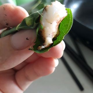 MỰC CÔ TÔ 1 NẮNG