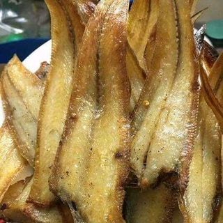 CÁ BƠN ĐỎ 1 NẮNG