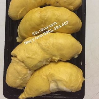 Sầu Riêng Ri 6