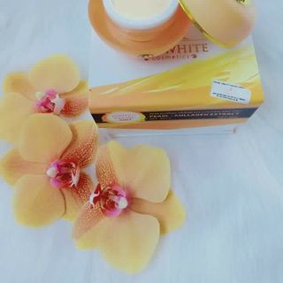 kem face elly wthite