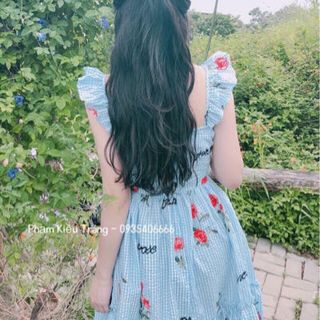 Đầm hoa thêu cánh tiên quảng châu