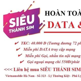 Siêu thánh Sim Vietnanobile