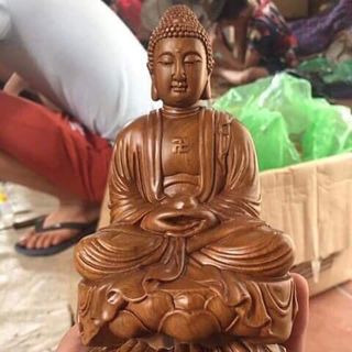 Phật ông để ô tô gỗ bách xanh