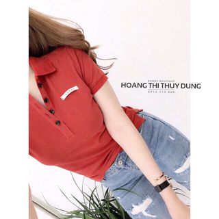 áo thun cổ trụ phối dây viền