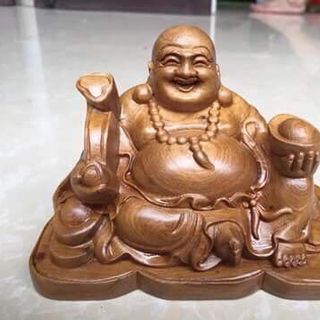 Di lạc để ô tô gỗ bách xanh