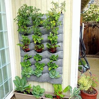 Túi vải Trồng Cây 20 Ngăn