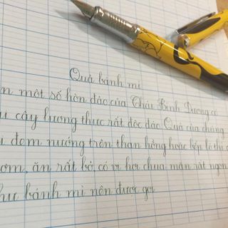 Bút mài Bảo Ngọc 1011