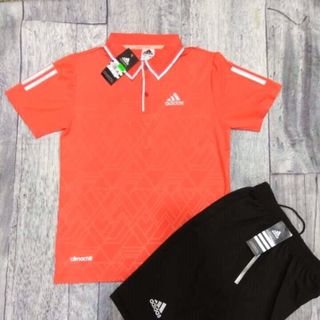 bộ thể thao có cổ