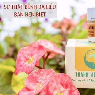 thanh mộc hương giá sỉ