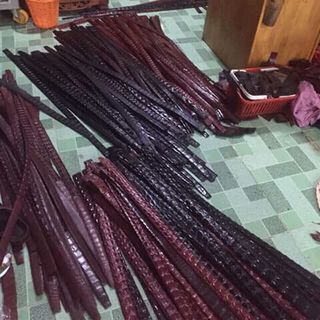 thắt lưng cá sấu 100