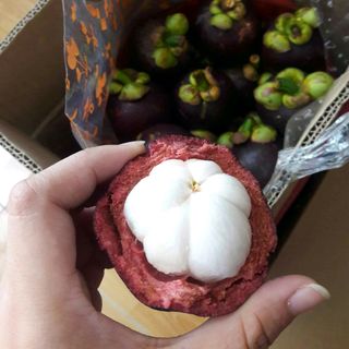 Măng cụt vườn cuối mùa