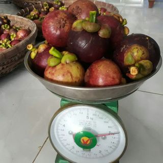 Măng loại I 9 trái 1kg