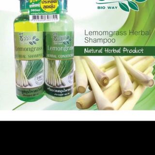 Cập gội xả CHANH XẢ Thailand 360 ml x 2