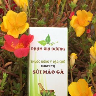 Đông Y Chữa Sùi Mào Gà giá sỉ