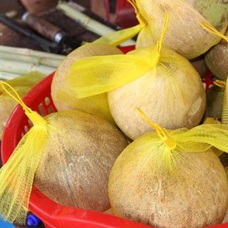 ĐẶC SẢN DỪA SÁP CẦU KÈ TRÀ VINH