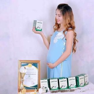Điều kinh lan chi giá sỉ