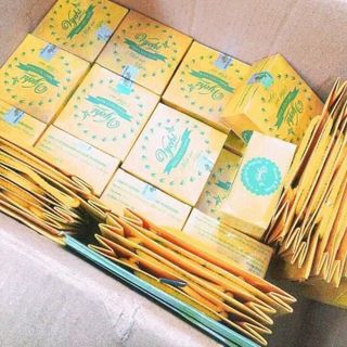 NẠ YẾN VYCHI
