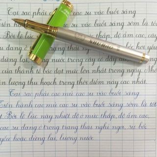 Bút luyện chữ đẹp Như Hảo 051