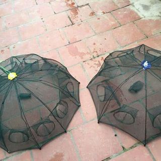 lưới bát quái đánh cá dạng tròn